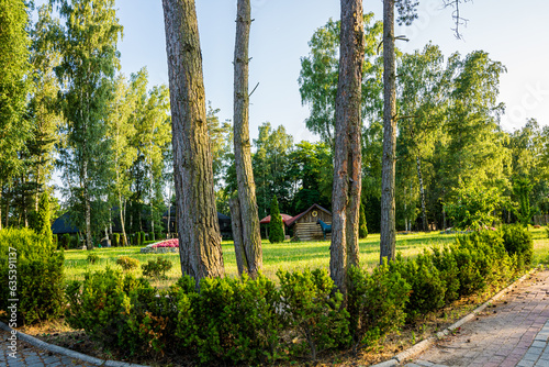 Obraz na płótnie Park z drzewami liściastymi, pięknymi trawnikami, klombami kolorowych kwiatów i alejkami. Lato na Śląsku w Polsce, Rogów gmina Gorzyce. w salonie
