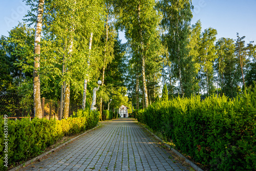 Obraz na płótnie Park z drzewami liściastymi, pięknymi trawnikami, klombami kolorowych kwiatów i alejkami. Lato na Śląsku w Polsce, Rogów gmina Gorzyce. w salonie