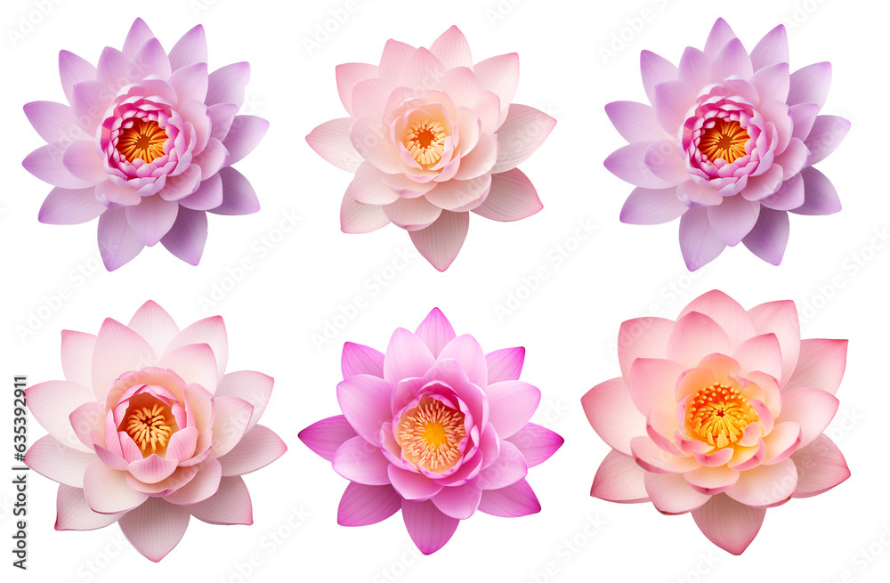 illustrations set of isolated pink lotus flowers. Created with Generative AI illustrations set of isolated pink lotus flowers. Created with Generative AI