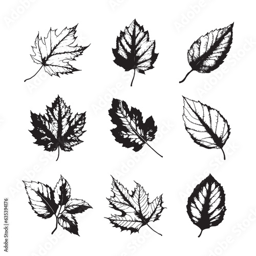 Hand drawn leaf vector set
