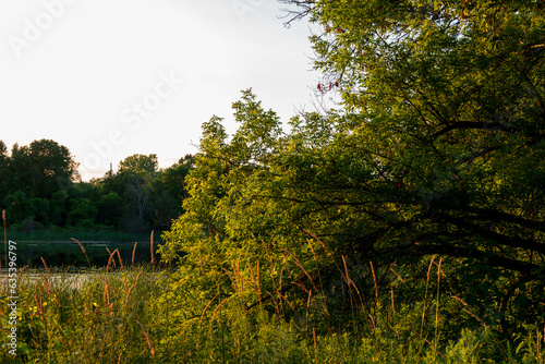 A Lazy Midsummer Afternoon by the Salmon River in Tyendinaga Mohawk Territory photo