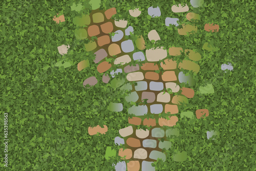 Landscape design. Grass with a stone path. Top view. Walkway landscape with stone path, paving flagstone. View from above.