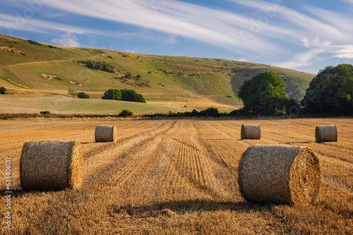 August harvest under the long man of Wilmington on the south downs east Sussex south east England UK photo