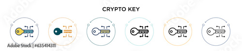 Crypto key icon in filled, thin line, outline and stroke style. Vector illustration of two colored and black crypto key vector icons designs can be used for mobile, ui, web