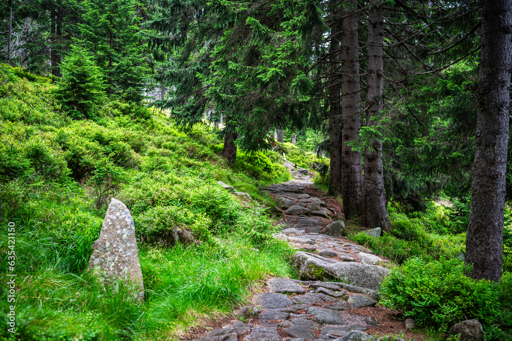 Sudetes, Giant Mountains, Śnieżne Kotły, Schneegruben, Karkonosze