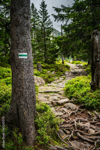 Wallpaper Mural Sudetes, Giant Mountains, Śnieżne Kotły, Schneegruben, Karkonosze, Sudety, Karkonosze, Szrenica, Dolny Slask Torontodigital.ca
