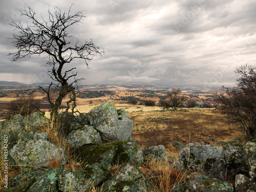 Almagro, Spain -  September 14, 2021. Landscape and rural environment close to the town of Almagro.