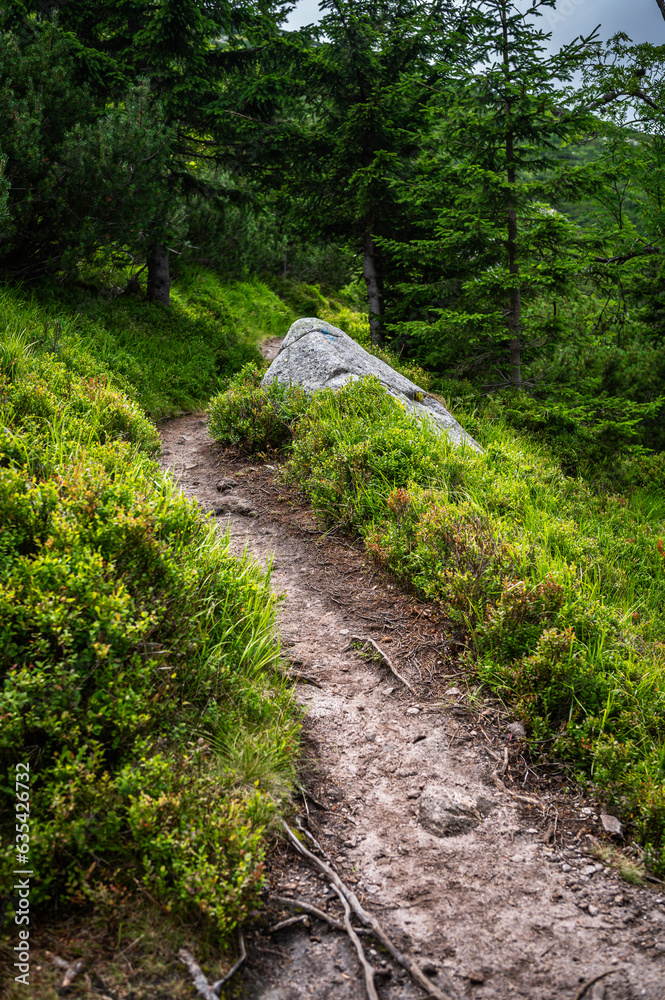 Sudetes, Giant Mountains, Śnieżne Kotły, Schneegruben, Karkonosze, Sudety, Karkonosze, Szrenica, Dolny Slask Sudetes, Giant Mountains, Śnieżne Kotły, Schneegruben, Karkonosze, Sudety, Karkonosze, Szrenica, Dolny Slask