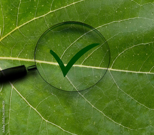 Lupe mit Grünem Ok Zeichen