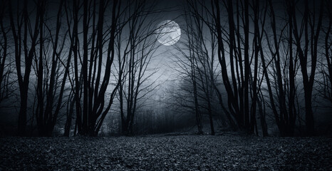 full moon over dark spooky forest at night
