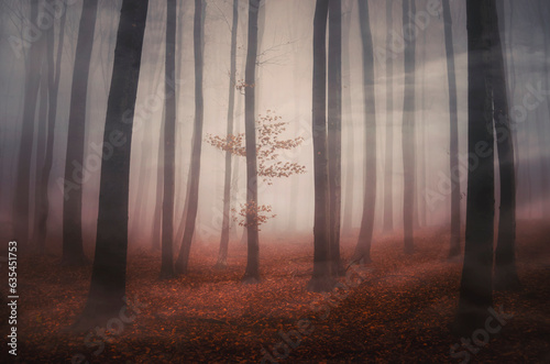 autumn tree with colorful l...