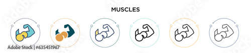Muscles icon in filled, thin line, outline and stroke style. Vector illustration of two colored and black muscles vector icons designs can be used for mobile, ui, web