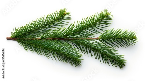 Pine branch isolated on white background. Fir tree branch isolated on white created with Generative AI technology