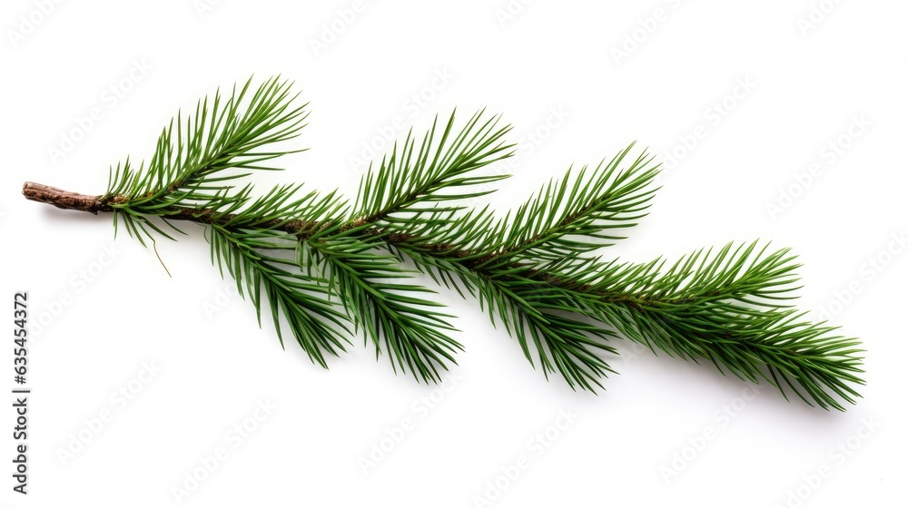 Pine branch isolated on white background. Fir tree branch isolated on white created with Generative AI technology Pine branch isolated on white background. Fir tree branch isolated on white created with Generative AI technology