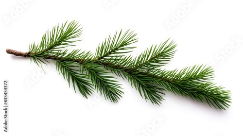 Pine branch isolated on white background. Fir tree branch isolated on white created with Generative AI technology