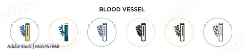 Blood vessel icon in filled, thin line, outline and stroke style. Vector illustration of two colored and black blood vessel vector icons designs can be used for mobile, ui, web