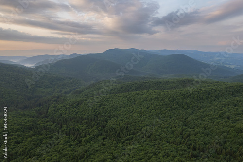 Summer landscape above the green forest