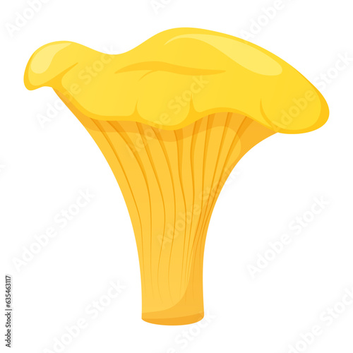 Chanterelle on white background, forest mushroom vector illustration