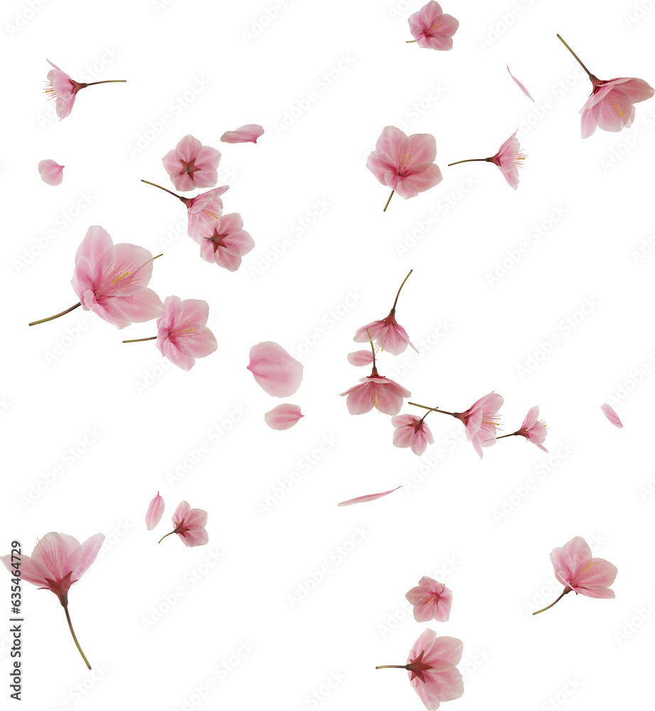 Obraz premium 3d render flying pink cherry blossom petal