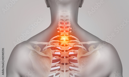 3d rendered illustration of a shoulder