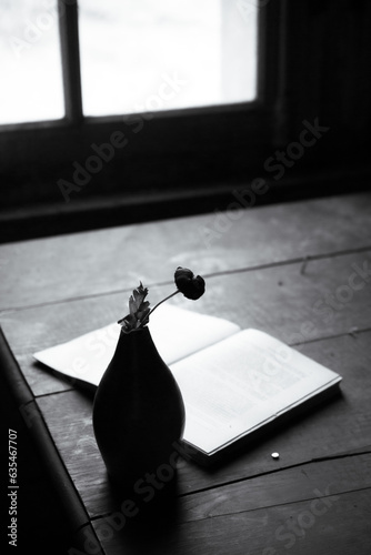 Livre