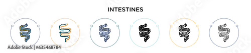 Intestines icon in filled, thin line, outline and stroke style. Vector illustration of two colored and black intestines vector icons designs can be used for mobile, ui, web