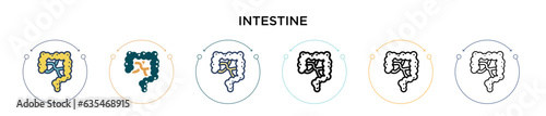 Intestine icon in filled, thin line, outline and stroke style. Vector illustration of two colored and black intestine vector icons designs can be used for mobile, ui, web
