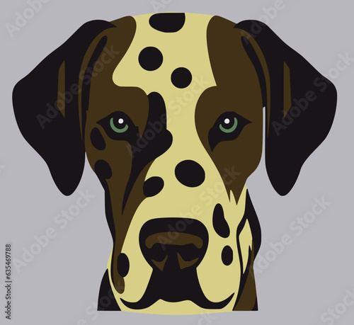 hound dog with spots and piercing eyes