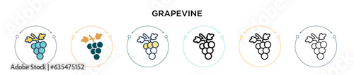Grapevine icon in filled, thin line, outline and stroke style. Vector illustration of two colored and black grapevine vector icons designs can be used for mobile, ui, web