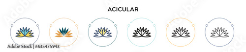 Acicular icon in filled, thin line, outline and stroke style. Vector illustration of two colored and black acicular vector icons designs can be used for mobile, ui, web