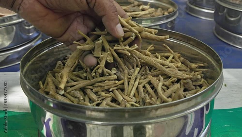 A man checks the quality of dry ashwagandha or withania somnifera or winter cherry photo