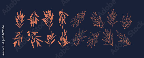 Olive Branch for olive oil logo or olive icon, hand drawn olive branch botanical herbs elements in vector format, floral olive frame and border virgin oil