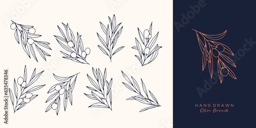 Olive Branch for olive oil logo or olive icon, hand drawn olive branch botanical herbs elements in vector format, floral olive frame and border virgin oil