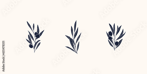 Olive Branch for olive oil logo or olive icon, hand drawn olive branch botanical herbs elements in vector format, floral olive frame and border virgin oil