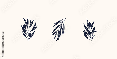 Olive Branch for olive oil logo or olive icon, hand drawn olive branch botanical herbs elements in vector format, floral olive frame and border virgin oil