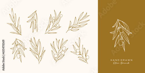 Olive Branch for olive oil logo or olive icon, hand drawn olive branch botanical herbs elements in vector format, floral olive frame and border virgin oil
