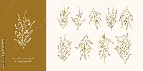 Olive Branch for olive oil logo or olive icon, hand drawn olive branch botanical herbs elements in vector format, floral olive frame and border virgin oil