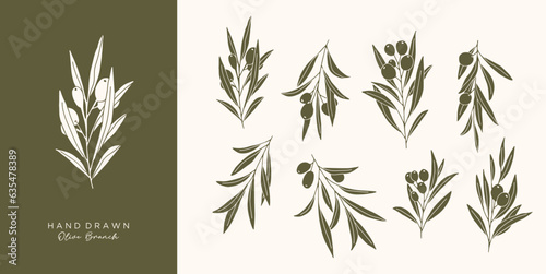 Olive Branch for olive oil logo or olive icon, hand drawn olive branch botanical herbs elements in vector format, floral olive frame and border virgin oil