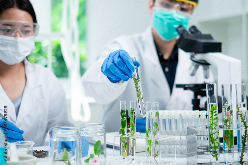 Close up of scientist is picking, working and comparing a plant or herb in test tube or glassware. Natural product and organic cosmetic health care. eco laboratory microbiology. Experiment test. Close up of scientist is picking, working and comparing a plant or herb in test tube or glassware. Natural product and organic cosmetic health care. eco laboratory microbiology. Experiment test.