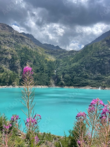 flowers and mountain landscape