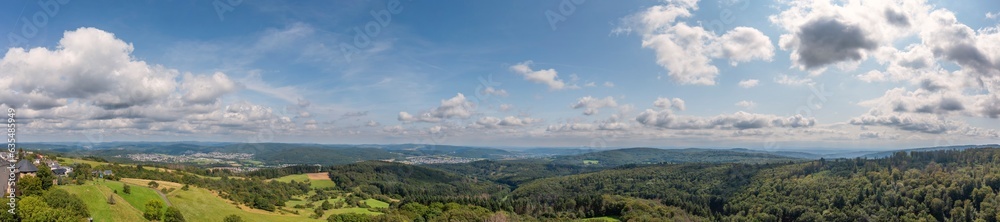 Bird's-eye view of the forests of the Hintertaunus/Germany