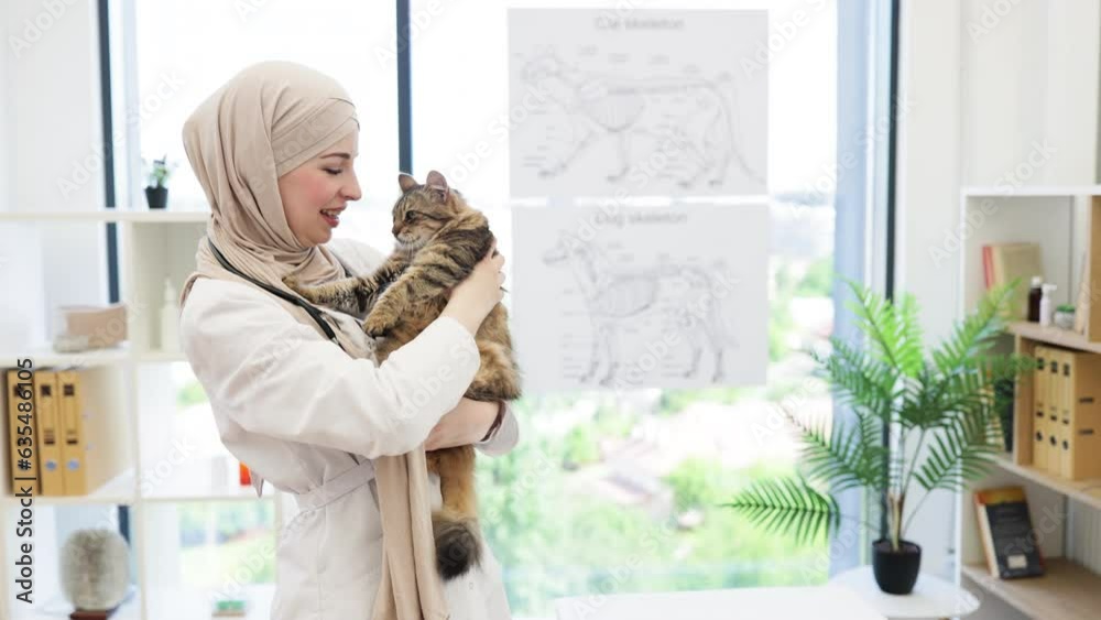 Muslim doctor holding feline pet close to face on vet visit Muslim doctor holding feline pet close to face on vet visit