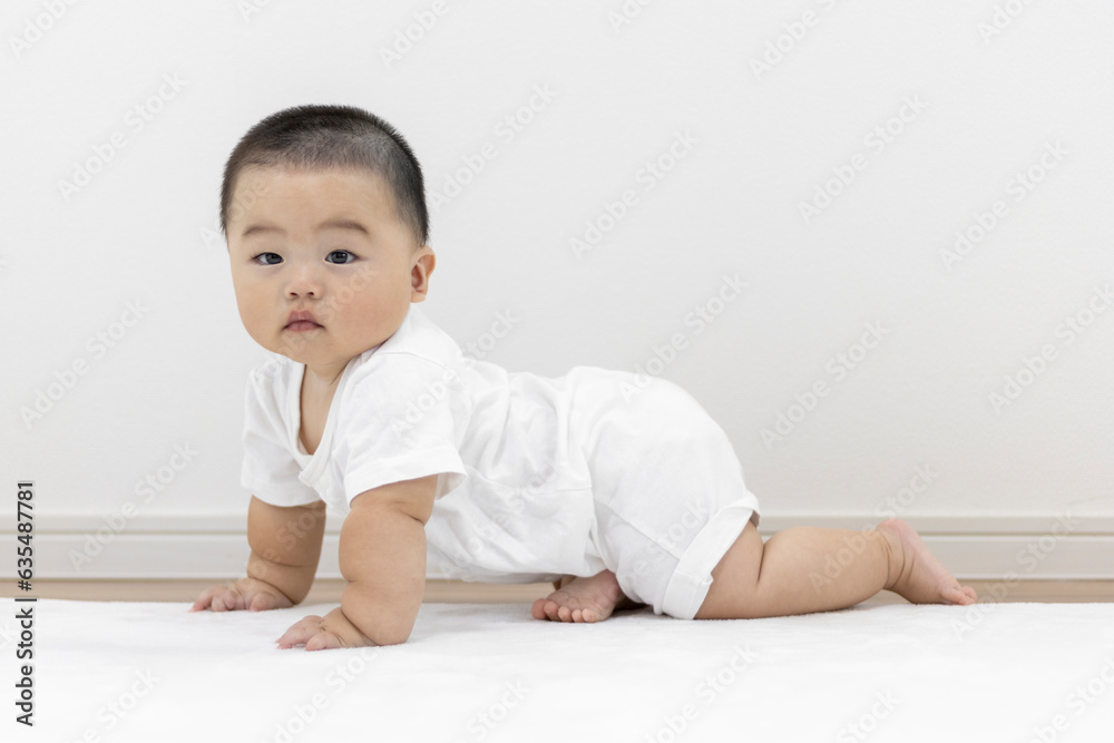 絨毯でハイハイの練習をする赤ちゃん（男の子、日本人、生後8か月）