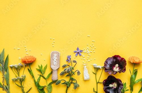 фотографія Flat lay view homeopathic medicine pills in jars and spilled around on yellow background, decorated with fresh various herbs and plants, flowers