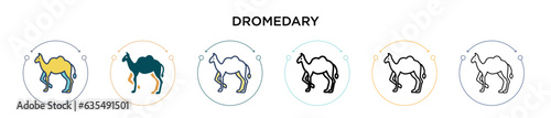 Dromedary icon in filled, thin line, outline and stroke style. Vector illustration of two colored and black dromedary vector icons designs can be used for mobile, ui, web