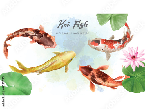 beautiful koi fish watercolor background