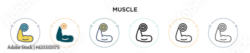 Muscle icon in filled, thin line, outline and stroke style. Vector illustration of two colored and black muscle vector icons designs can be used for mobile, ui, web