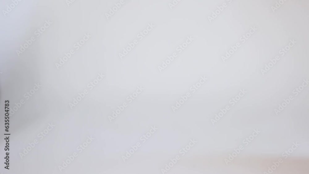 cute French bulldog puppy sits , then leaves the frame on a white background cute French bulldog puppy sits , then leaves the frame on a white background