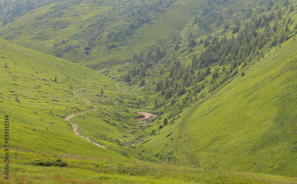 Trail in the mountains Trail in the mountains