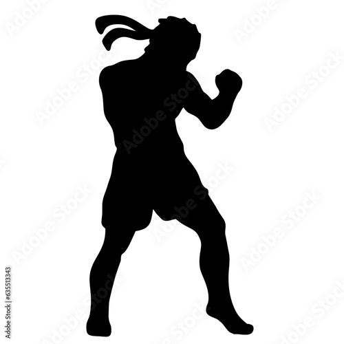 silhouettes of fights with martial arts, fists